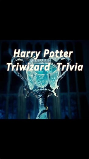 hogwartstrivia on TikTok