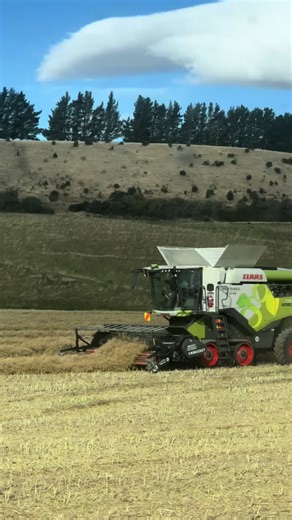 Cleaning Tips for Dirty Windows