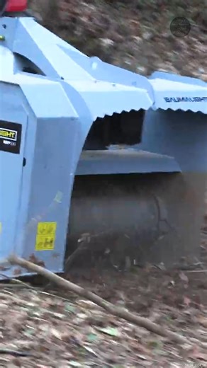 The Power of a Good Mulcher #TractorEquipment #TractorAttachments #Mulcher #ForestryMulcher | Tony's Tractor Adventure Homestead