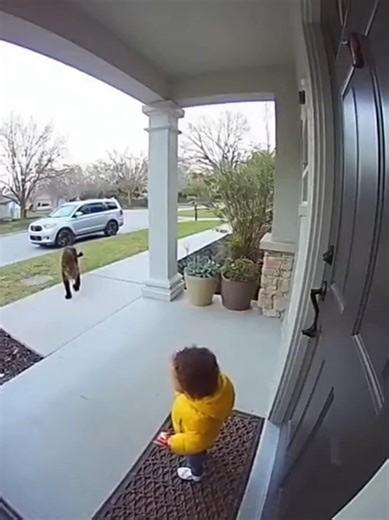 “Ultra-Realistic CCTV 😳 This Was Caught in a Subway Station Captured in vertical 9:16 CCTV format, this ultra-realistic security camera clip shows what real surveillance looks like in busy transit areas. No filters. No edits. Just raw CCTV footage catching a moment that suddenly turns intense — exactly how real security cameras record life #UltraRealistic #CCTVFootage #SecurityCamera #SubwayCCTV #CaughtOnCamera #RawFootage #RealMoment #VerticalVideo #ViralClip #FYP #ForYou #ForYouPage