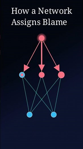How a Neural Network Assigns Blame