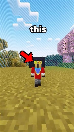 he built a 1 block tall nether portal #minecraft #minecraftserver