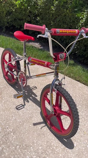 1984 Mongoose Californian Survivor with Skyway Tuff II Wheels