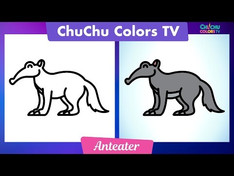 Easy Anteater Drawing for Beginners | Step-by-Step Guide