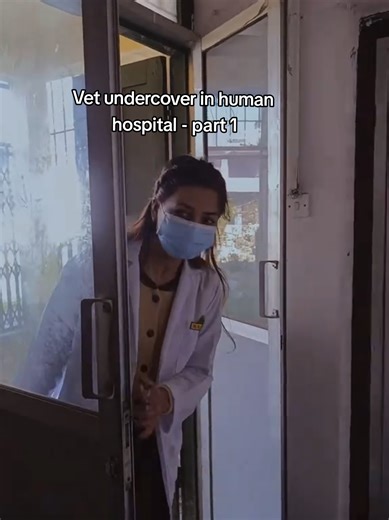 PART-1 Vet Undercover in a Human Hospital 🕵️‍♂️🐾 Follow for Part 2 — maybe this time the spy won’t get caught so fast! 👀😂#funny #trending #trendingvideo #fyp #vet