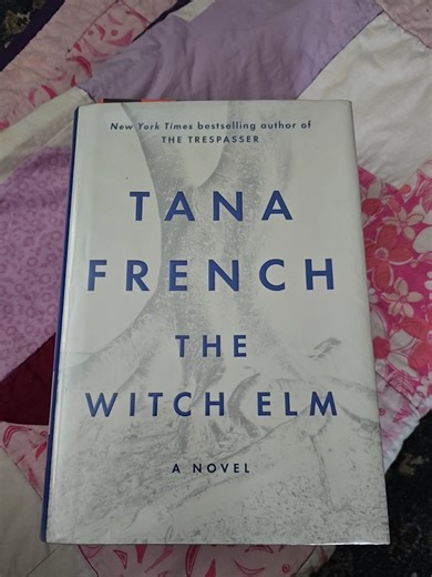 library haul #libraryhaul #haul #books #currentlyreading #booktok