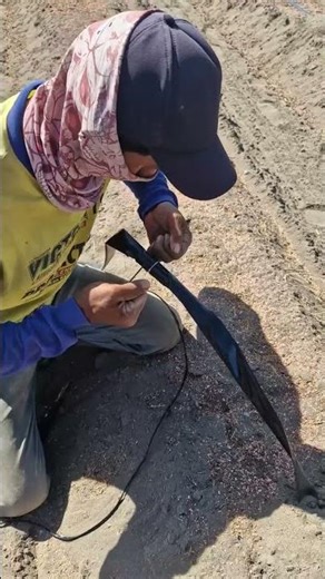 Smart idea to lock plastic mulch with a simple tool-Agriculture farming #shorts