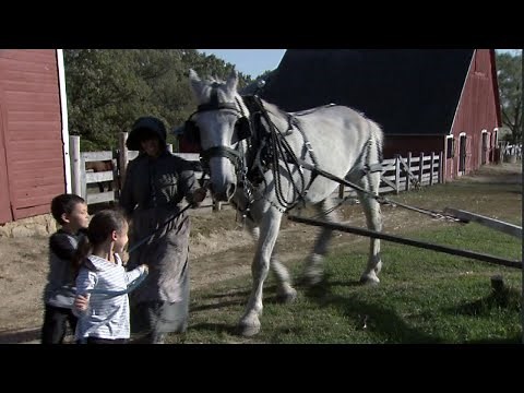 1900 Farm at Living History Farms