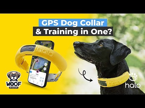 Halo Collar: The Ultimate GPS Dog Collar & Training Fence Solution!