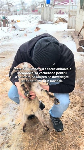 Cu vorba sau cu fapta?