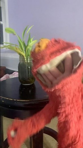 elmo world dorothy neighborhood question