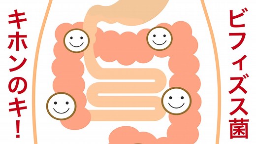 ビフィズス菌がどんな菌で、どんな活動をしているかをお教えします | 【公式】江崎グリコ(Glico)
