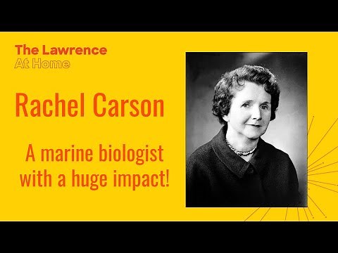 The Story of: Rachel Carson | Stories in STEAM | Storytime!