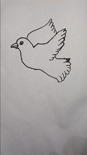 how to draw region drawing easy step by step tutorial #pegion #drawing #shortsvideo