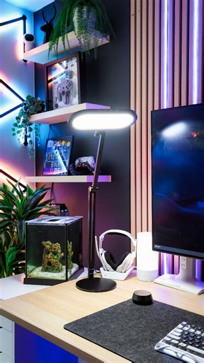 Set the mood, not just the lighting—meet the LitONES H02 desk lamp that’s giving soft, side-emitting glow for all your late-night study vibes or Zoom prep 🤩 Remote control the brightness color temp in seconds, tilt it any way you want, and say bye-bye to eye strain with that cozy, balanced front-and-back light. Your desk just became an aesthetic mood board. ◇ 📌 #pc #desktop #computer #cozy #cozyvibes #tech #fyp #setup #setupgaming #deskinspiration #setupinspiration #cozyroom #workspace #deskgo