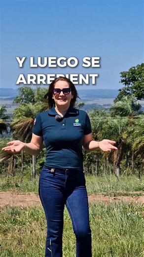 Crecer Inmobiliaria | Hay detalles que pocos miran… y después hacen toda la diferencia. Lili te cuenta por qué la altura importa al momento de invertir. Clima,... | Instagram