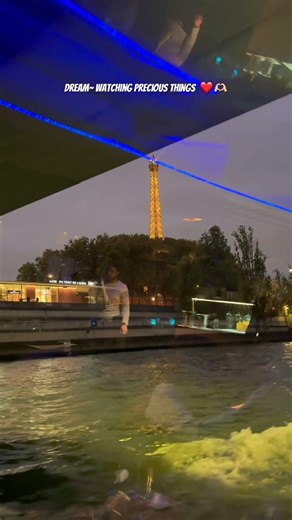 #eiffeltower #paris #france #europe #eiffeltoweratnight #seinerivercruise #youtubeshorts