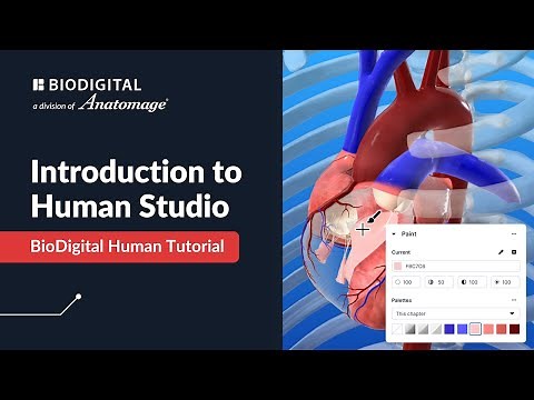 Introduction to Human Studio: 3D Anatomy Authoring for Medical Education