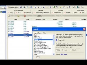 Customize the Gifts Tab in Raiser's Edge