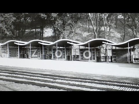 Dudley Zoo and Castle - Home to Some of the Worlds Rarest Animals + Zoo and Castle History