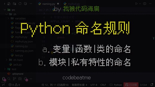 Python 命名规范（变量、函数、类等）｜编程教程
