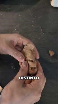 El líquido que se convierte en piedra 🤯💧