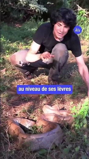 Discover the constrictor snake with Dexplo Nature!