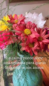 5K views · 213 reactions | EL PODER DE LA CALMA: La calma es un...