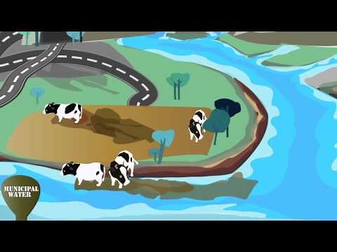 Clean Water: A Long Journey from the Source to Our Tap