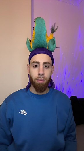 Colorful Parrot Tricks: Fun Bird Interaction