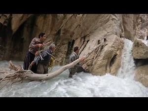 Rescuing a Lost Sheep: A Heartwarming Story of Nomad Community 2023