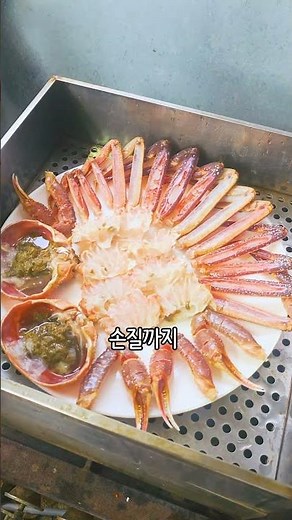 [속초맛집] 🐟왕큰 수조가 있는 속초 맛도리 횟집😋대게+활어회세트 가성비 미쳤고 배터져버림~! 📍 #속초맛집 #속초횟집 #속초대게 #속초대포항맛집 #속초회포장 #신대륙횟집속초본점
