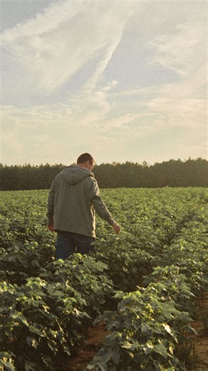 Our clothes are grown & sewn entirely in the U.S.A. We’re often asked why we choose to make here, even though it isn’t easy. Staying close ensures the highest quality standards, so our apparel spends more time being worn & less time in landfills. We want to support American jobs. Invest in better and celebrate what matters. Proud to be #americanmade 🇺🇸 | American Giant