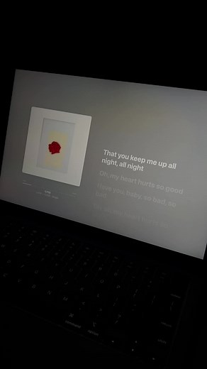 LANY ILYSB Lyrics Video | Apple Music | Alonica