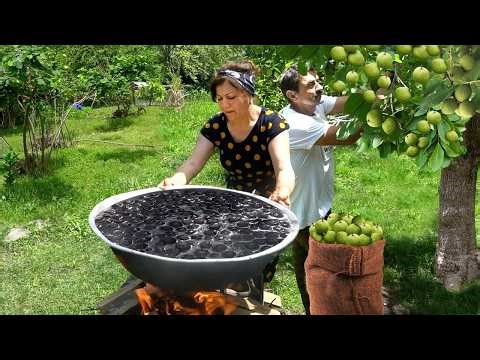 Harvesting Walnuts from FOREST | 1 Hour Relaxing Videos