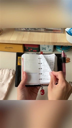 [Planner Tips] It’s Fun to Tuck Anything Inside! A Realistic Look at How I Use My M5 Mini Planner...