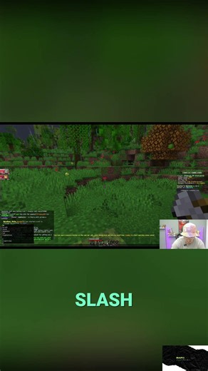Minecraft Server Secrets: From Spawn to Rank Unlocked! #shorts