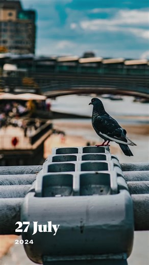 randomsnaps77 on TikTok