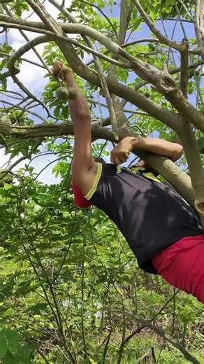 Exploring the Magic of AI Bots