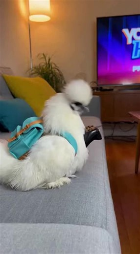 You vs. Homer: La Deidad en Roblox