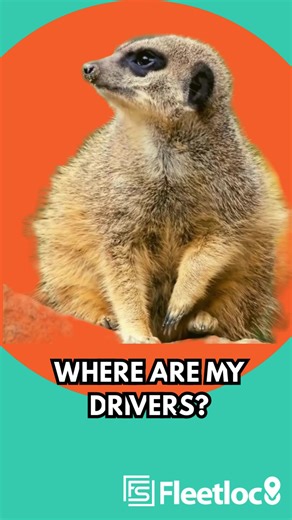 📍 Where are my drivers? Where are my vans? If you're constantly asking these questions, it's time to take back control with Fleetloc8 from Fleetmaxx Solutions. Fleetloc8 gives you real-time visibility over your vehicles and drivers, helping you: ✅ Improve customer service ✅ Reduce fuel and running costs ✅ Monitor driver behaviour ✅ Prevent unauthorised vehicle use Our self-install tracking devices are simple to set up, with no contracts, no hidden costs, and no monthly fees – just reliable trac