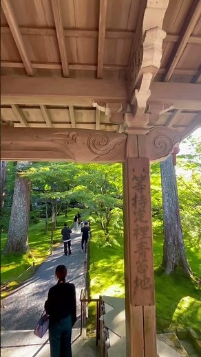 大原三千院❣️京都2024年絶景スポット