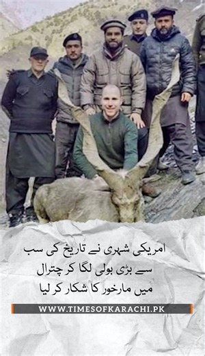 US citizen hunts Markhor in Chitral in historic bid #Markhor #TOKAlert | Times of Karachi
