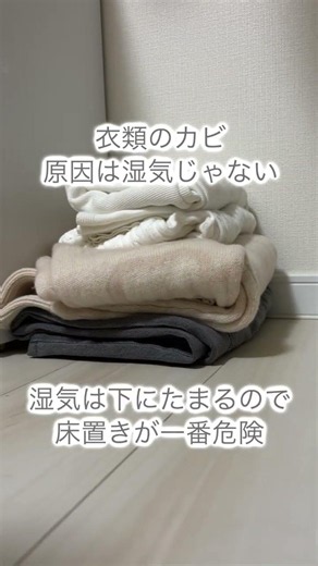 Why Your Clothes Get Moldy (It’s Not Just Humidity)