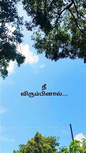 நீ விரும்பினால்..... #vanvelieil parrappen ne virumpinal #love #tamilsong #vijayantony