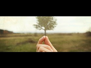 XXVII Domenica del Tempo Ordinario. Anno C