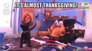 16K views · 772 reactions | Our friends on Animal Planet LIVE...