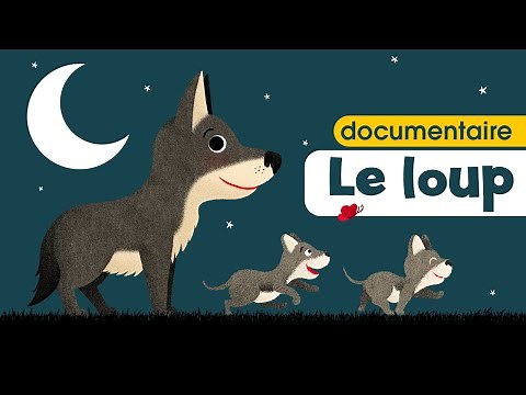 Le loup, la louve & les louveteaux 🐺 Documentaire pour bébé et enfant de crèche et maternelle