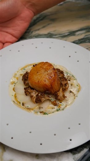 Worth the wait, even at Christmas. (Scallop, grains, salsify) Scallops grow very fast in their first few years, increasing by as much as 80%. Some are four to five years old by the time they are caught, while extra-large scallops can be up to 20 years old. Containing one’s excitement for the magic to happen, even at Christmas, can be tested. | Muse by Tom Aikens