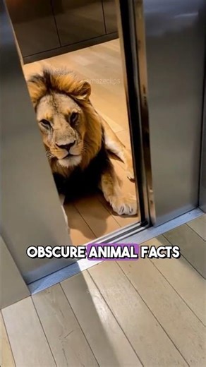 8 obscure animal facts that will shock you to your core!
